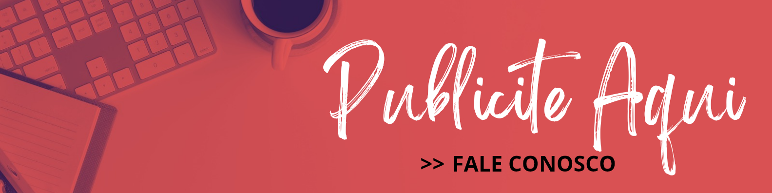 PUBLICIDADE